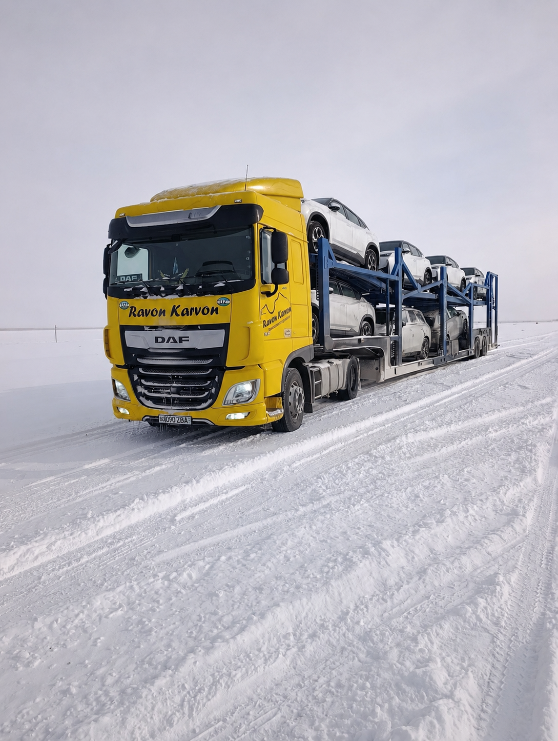 DAF автовоз зимой